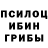 Галлюциногенные грибы Cubensis Dementor Dev
