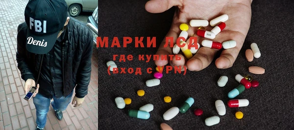 PSILOCYBIN Алзамай