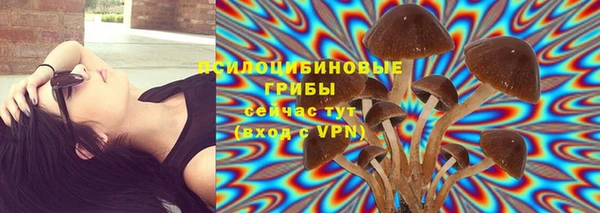 ПСИЛОЦИБИНОВЫЕ ГРИБЫ Гусиноозёрск