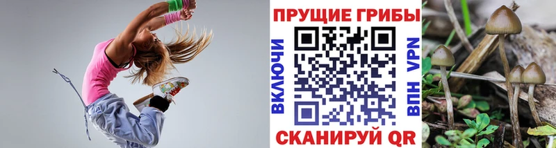 Галлюциногенные грибы мухоморы наркота Вихоревка