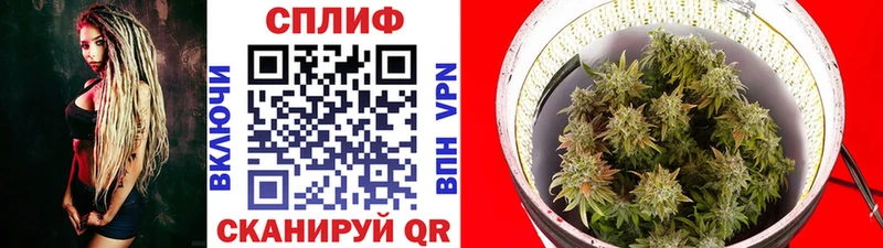 Бошки марихуана SATIVA & INDICA  как найти   omg ссылки  Вихоревка 